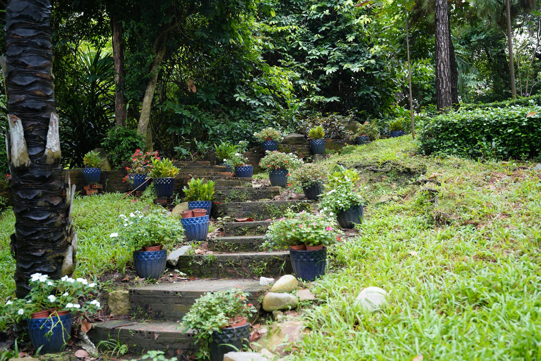 garden pathways idea