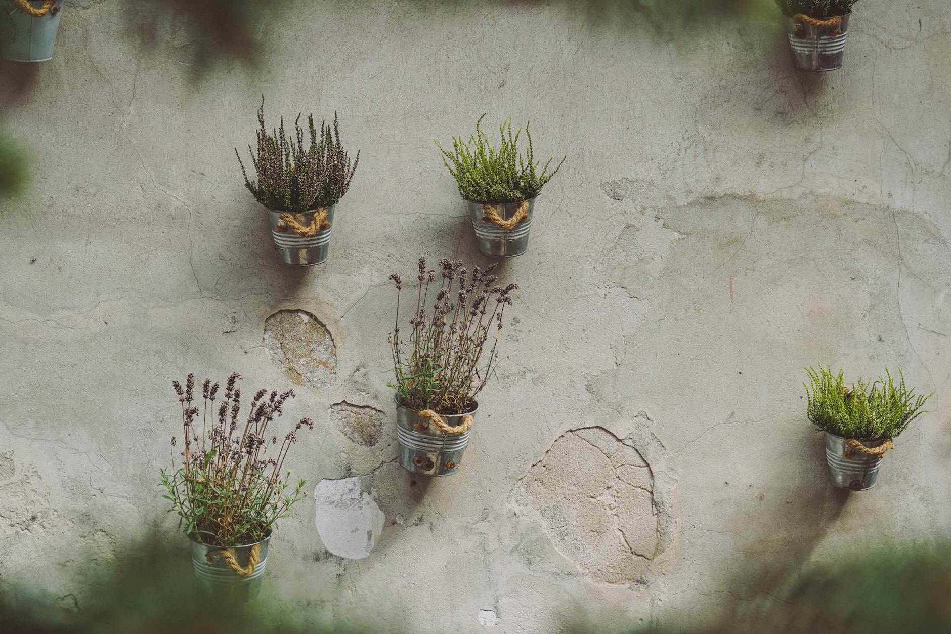 vertical gardens idea